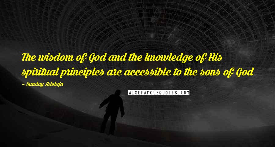 Sunday Adelaja Quotes: The wisdom of God and the knowledge of His spiritual principles are accessible to the sons of God