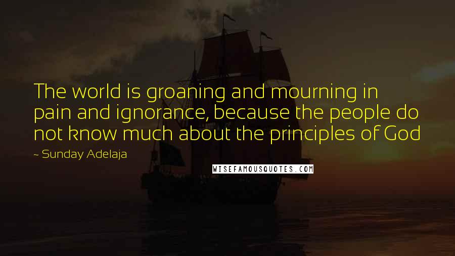 Sunday Adelaja Quotes: The world is groaning and mourning in pain and ignorance, because the people do not know much about the principles of God