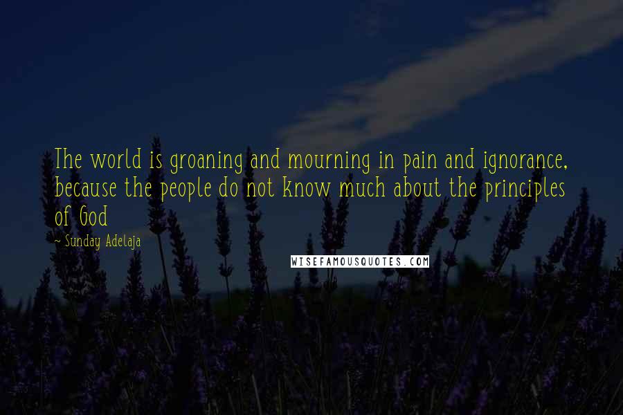 Sunday Adelaja Quotes: The world is groaning and mourning in pain and ignorance, because the people do not know much about the principles of God