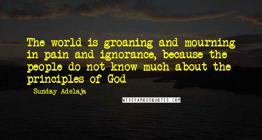 Sunday Adelaja Quotes: The world is groaning and mourning in pain and ignorance, because the people do not know much about the principles of God