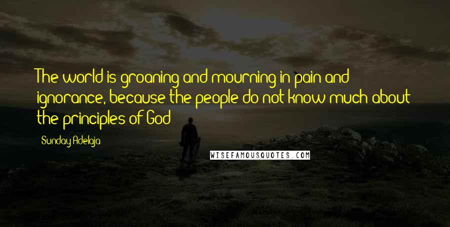 Sunday Adelaja Quotes: The world is groaning and mourning in pain and ignorance, because the people do not know much about the principles of God