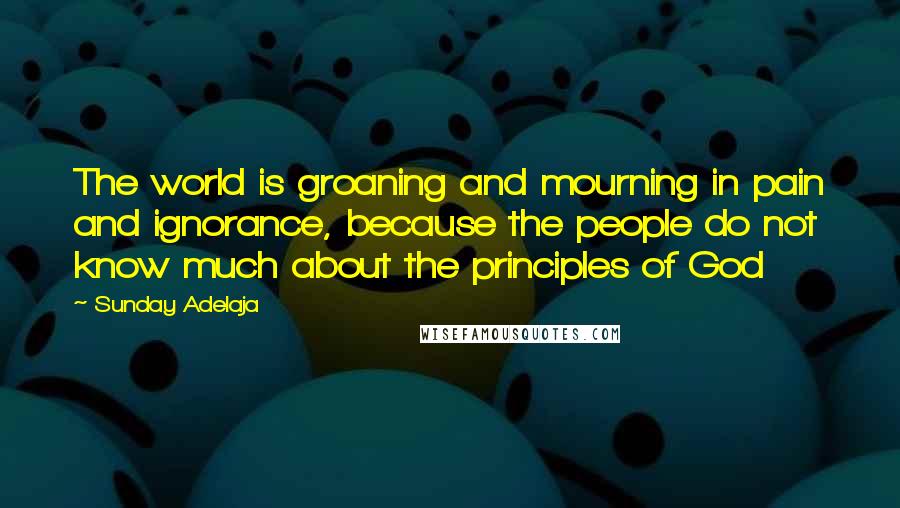 Sunday Adelaja Quotes: The world is groaning and mourning in pain and ignorance, because the people do not know much about the principles of God