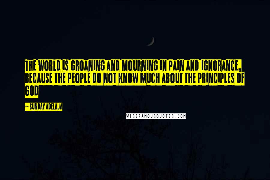 Sunday Adelaja Quotes: The world is groaning and mourning in pain and ignorance, because the people do not know much about the principles of God