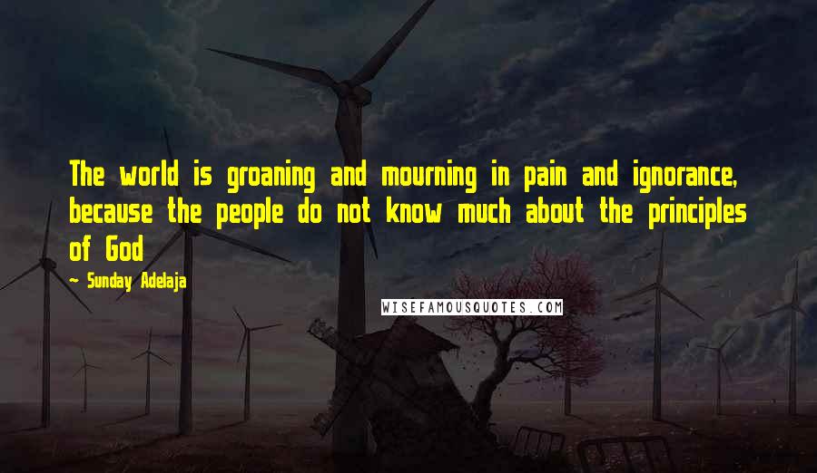 Sunday Adelaja Quotes: The world is groaning and mourning in pain and ignorance, because the people do not know much about the principles of God