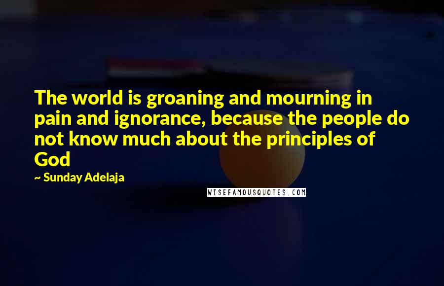 Sunday Adelaja Quotes: The world is groaning and mourning in pain and ignorance, because the people do not know much about the principles of God