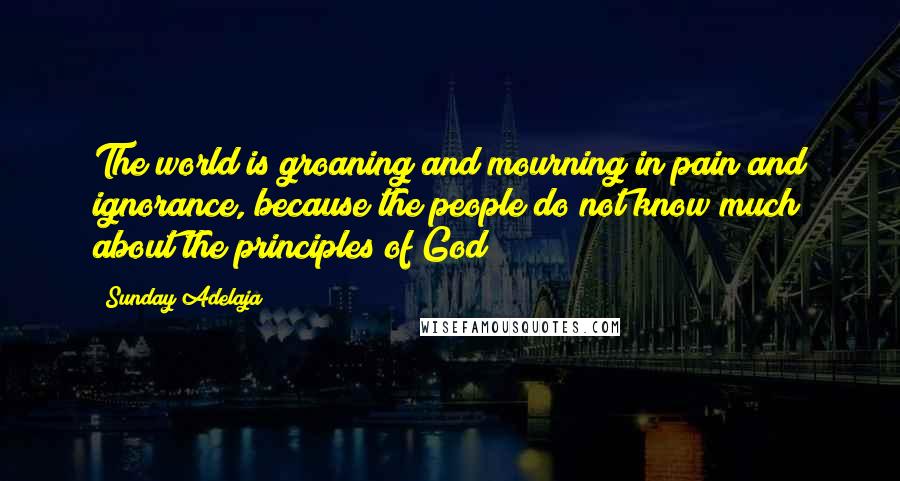 Sunday Adelaja Quotes: The world is groaning and mourning in pain and ignorance, because the people do not know much about the principles of God