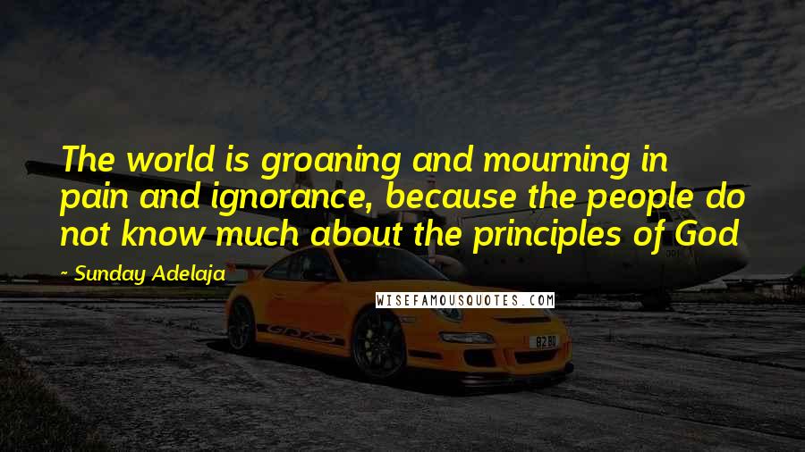 Sunday Adelaja Quotes: The world is groaning and mourning in pain and ignorance, because the people do not know much about the principles of God