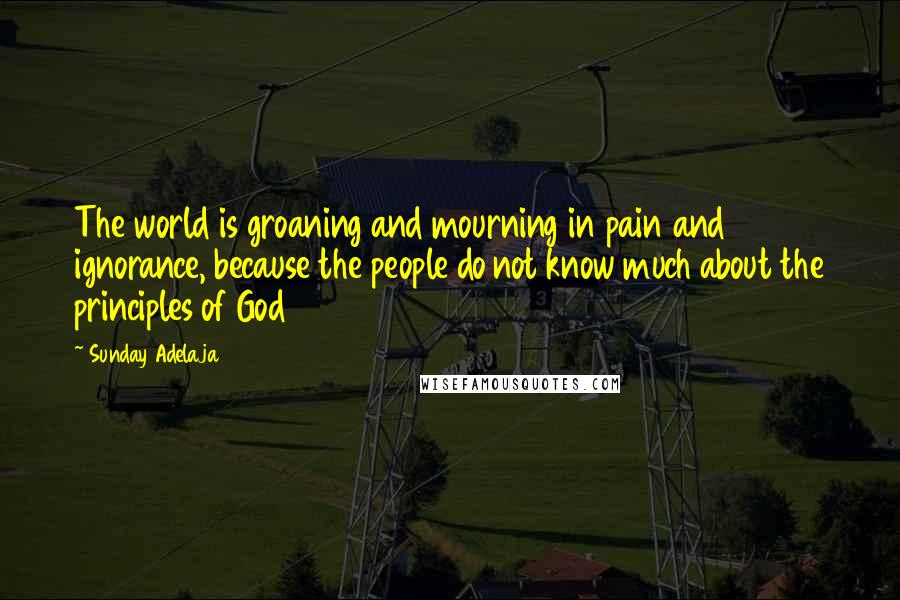 Sunday Adelaja Quotes: The world is groaning and mourning in pain and ignorance, because the people do not know much about the principles of God