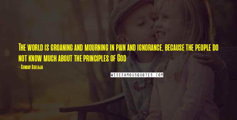 Sunday Adelaja Quotes: The world is groaning and mourning in pain and ignorance, because the people do not know much about the principles of God