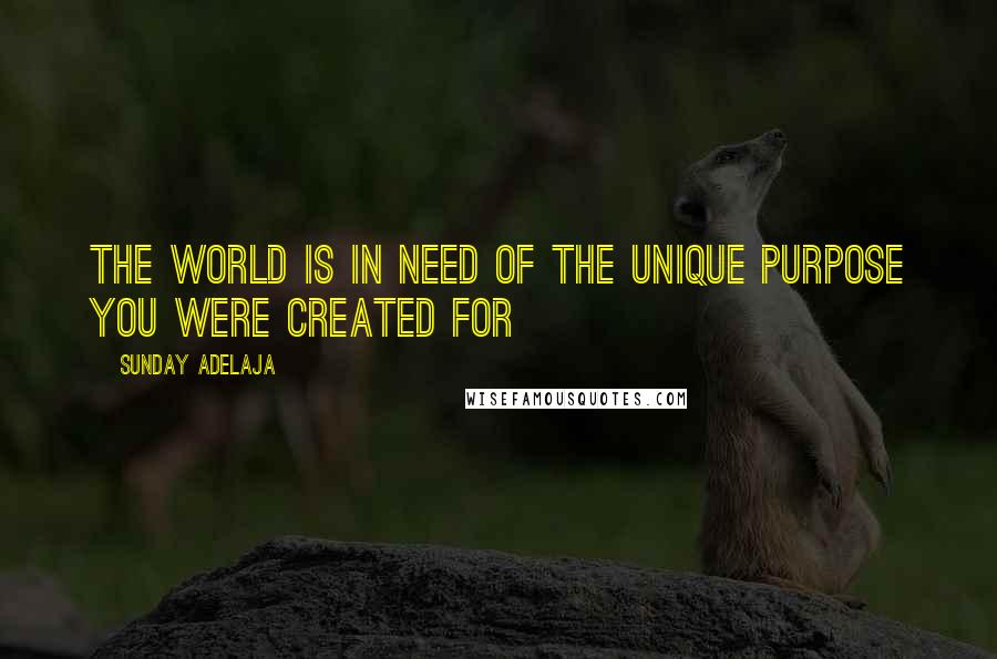 Sunday Adelaja Quotes: The world is in need of the unique purpose you were created for