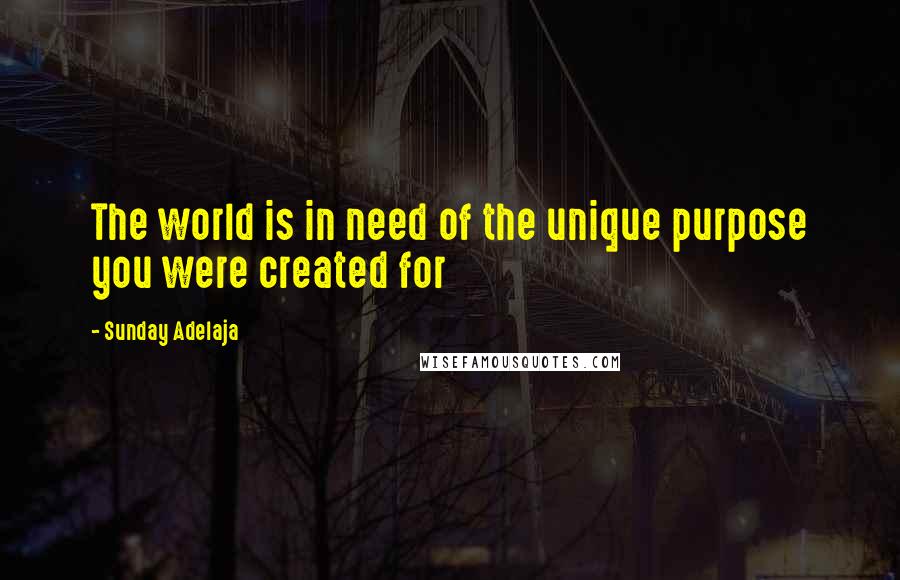 Sunday Adelaja Quotes: The world is in need of the unique purpose you were created for