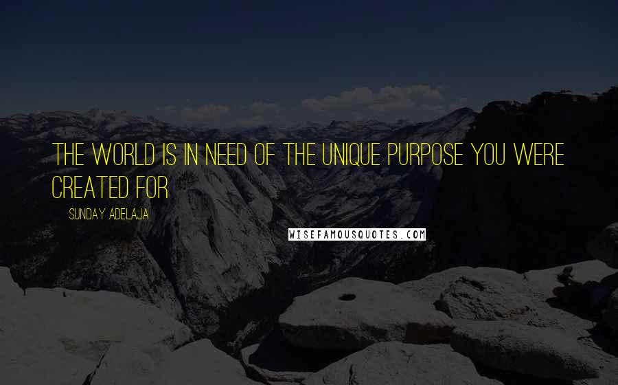 Sunday Adelaja Quotes: The world is in need of the unique purpose you were created for