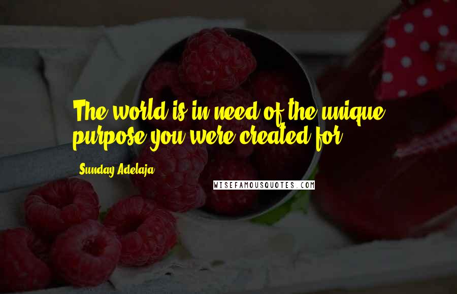 Sunday Adelaja Quotes: The world is in need of the unique purpose you were created for