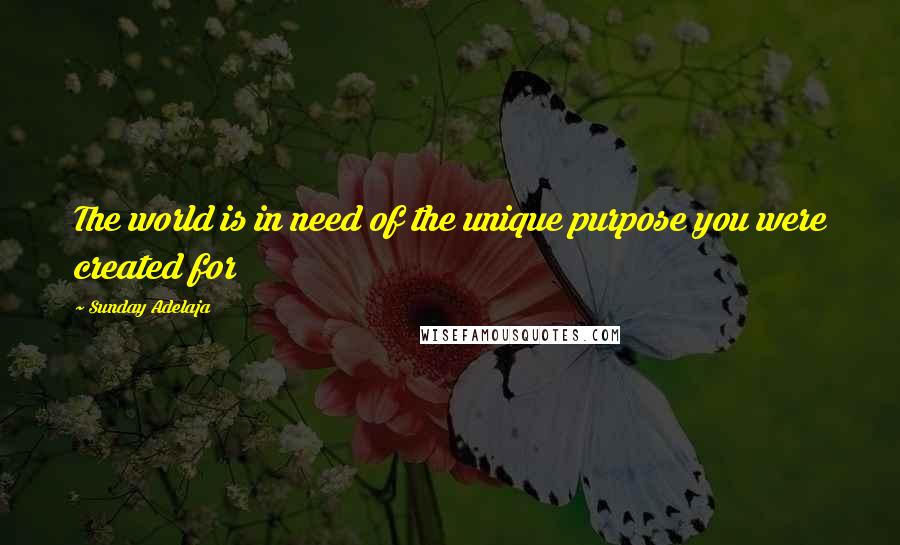 Sunday Adelaja Quotes: The world is in need of the unique purpose you were created for