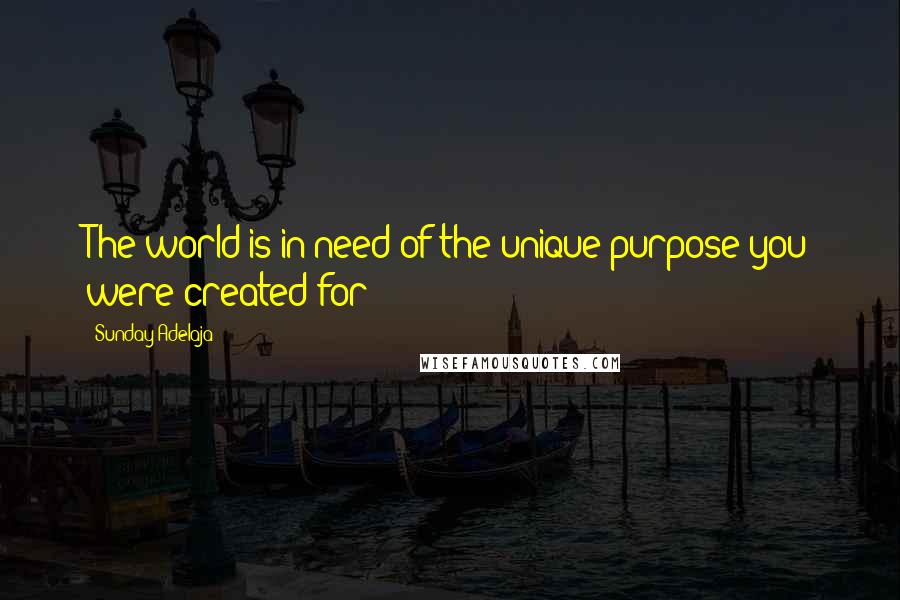 Sunday Adelaja Quotes: The world is in need of the unique purpose you were created for