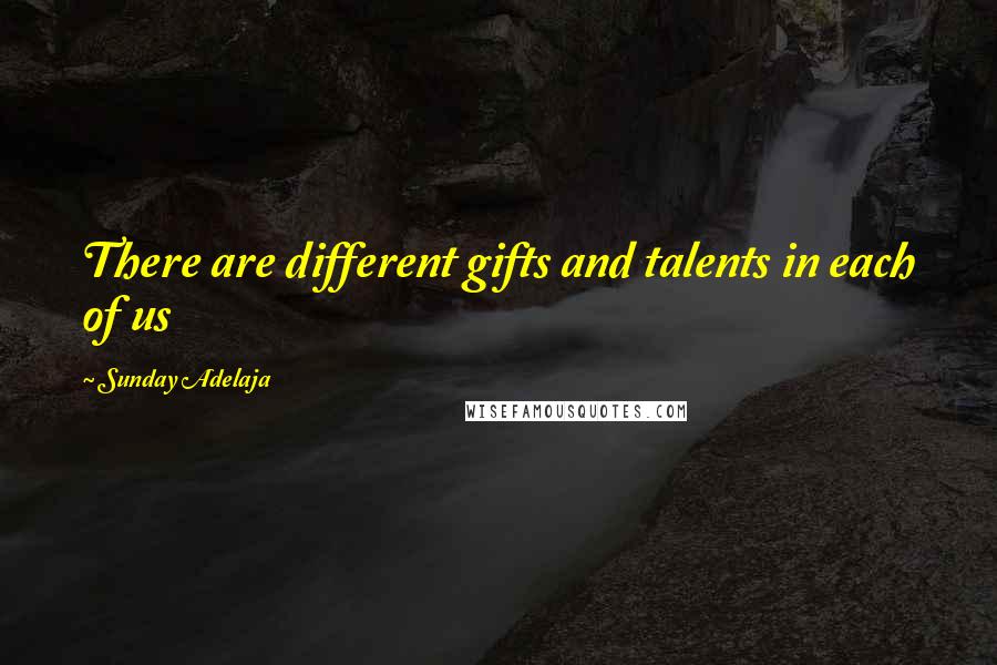 Sunday Adelaja Quotes: There are different gifts and talents in each of us