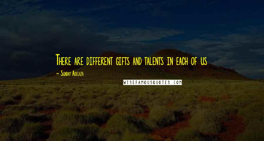 Sunday Adelaja Quotes: There are different gifts and talents in each of us