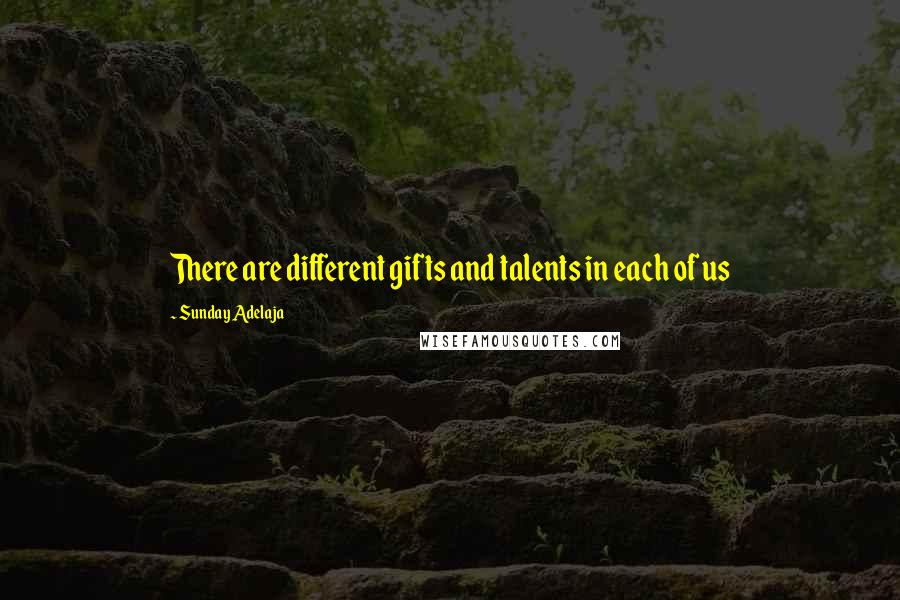 Sunday Adelaja Quotes: There are different gifts and talents in each of us