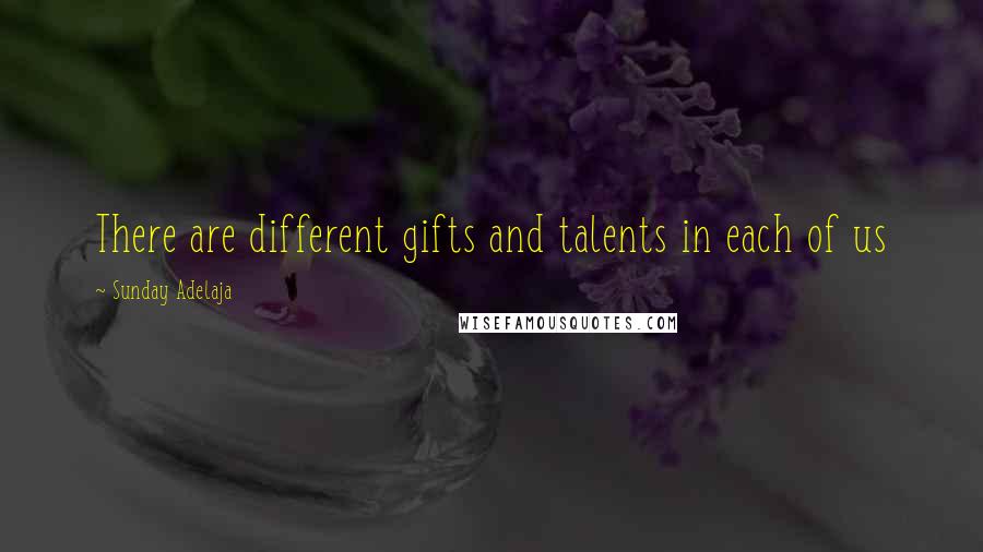 Sunday Adelaja Quotes: There are different gifts and talents in each of us