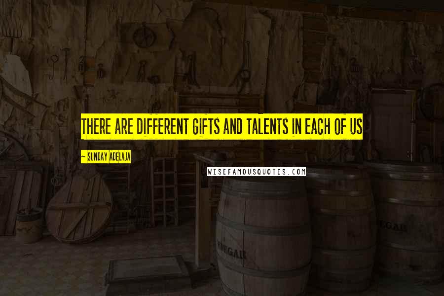 Sunday Adelaja Quotes: There are different gifts and talents in each of us