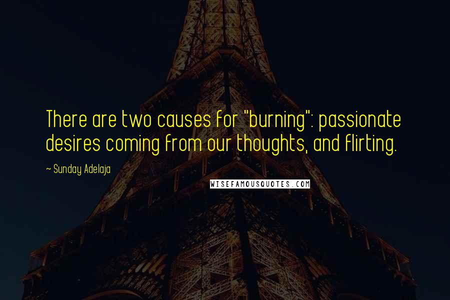 Sunday Adelaja Quotes: There are two causes for "burning": passionate desires coming from our thoughts, and flirting.