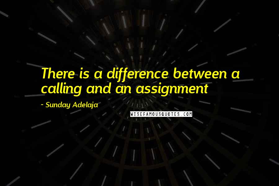 Sunday Adelaja Quotes: There is a difference between a calling and an assignment