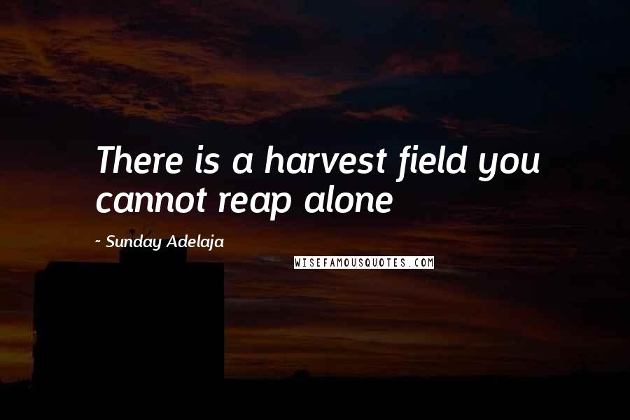 Sunday Adelaja Quotes: There is a harvest field you cannot reap alone
