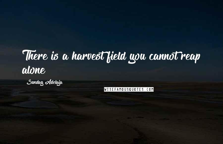 Sunday Adelaja Quotes: There is a harvest field you cannot reap alone
