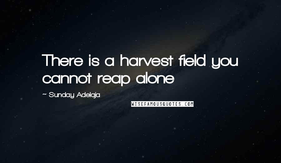 Sunday Adelaja Quotes: There is a harvest field you cannot reap alone