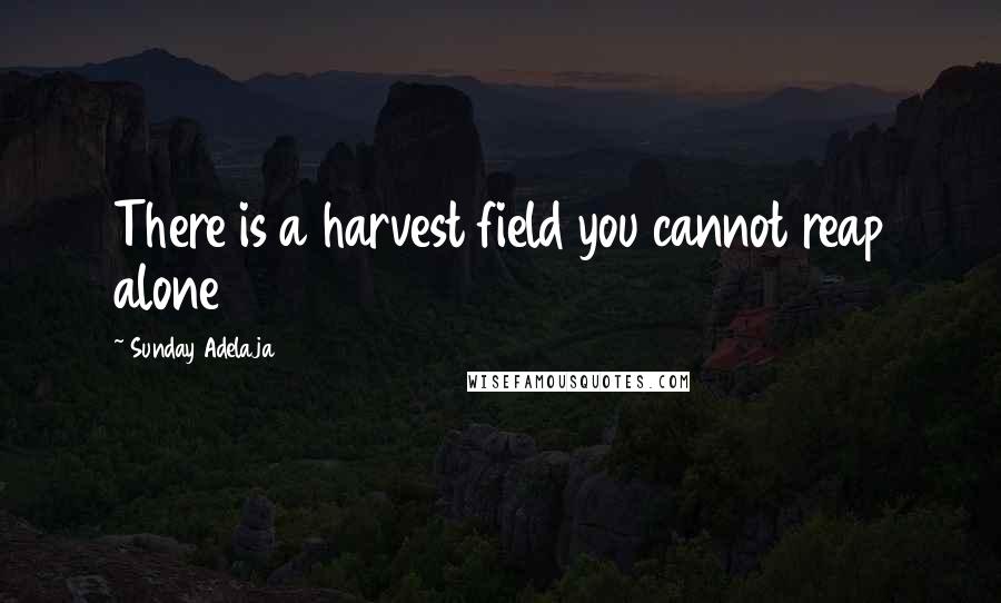 Sunday Adelaja Quotes: There is a harvest field you cannot reap alone