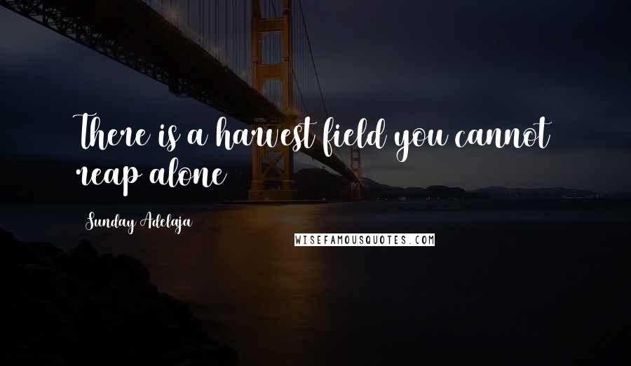 Sunday Adelaja Quotes: There is a harvest field you cannot reap alone