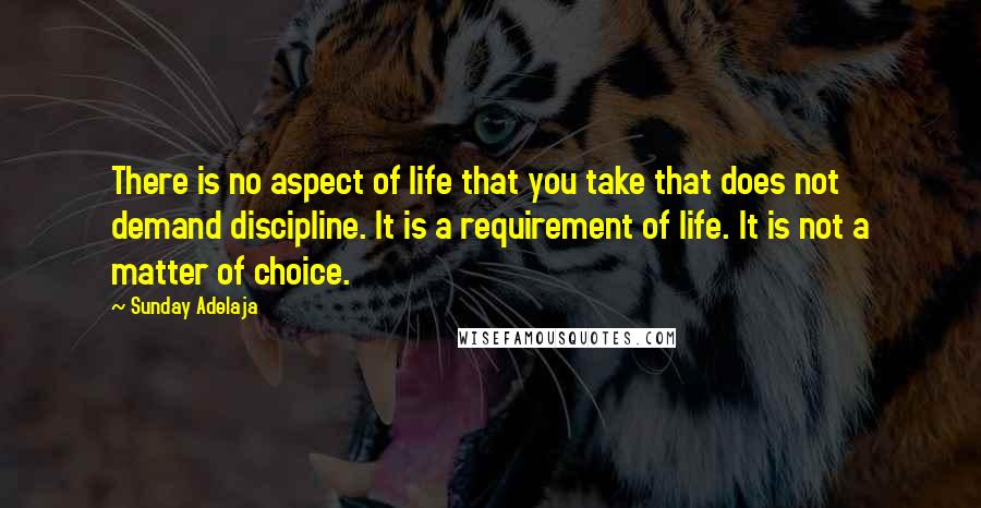 Sunday Adelaja Quotes: There is no aspect of life that you take that does not demand discipline. It is a requirement of life. It is not a matter of choice.