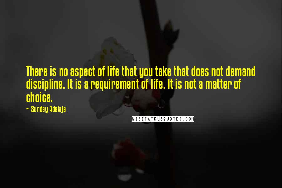 Sunday Adelaja Quotes: There is no aspect of life that you take that does not demand discipline. It is a requirement of life. It is not a matter of choice.