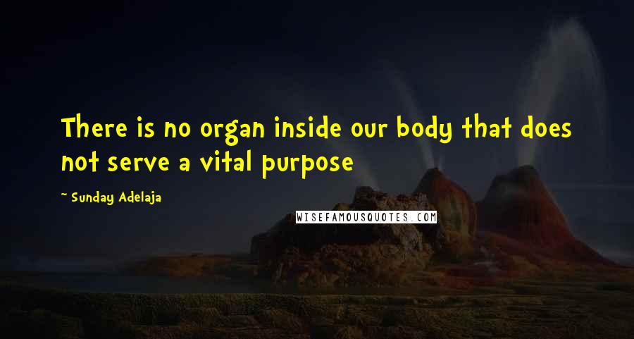 Sunday Adelaja Quotes: There is no organ inside our body that does not serve a vital purpose