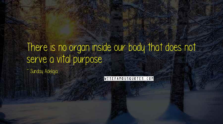 Sunday Adelaja Quotes: There is no organ inside our body that does not serve a vital purpose