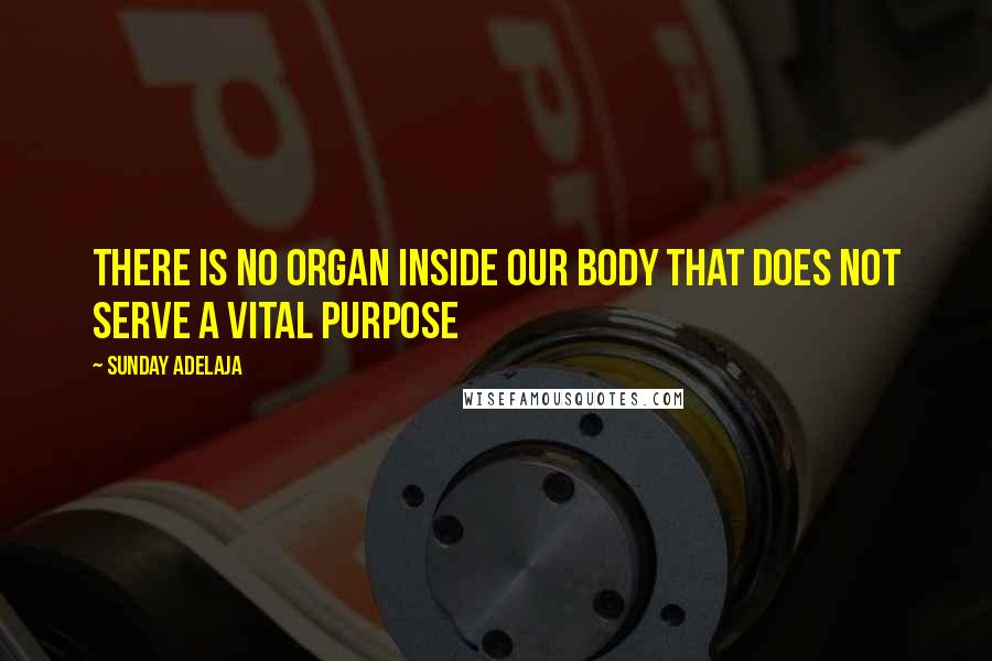 Sunday Adelaja Quotes: There is no organ inside our body that does not serve a vital purpose