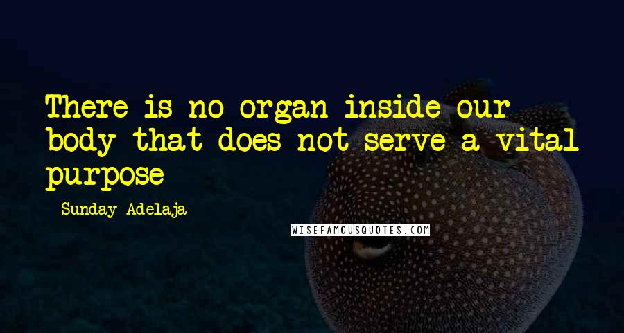 Sunday Adelaja Quotes: There is no organ inside our body that does not serve a vital purpose