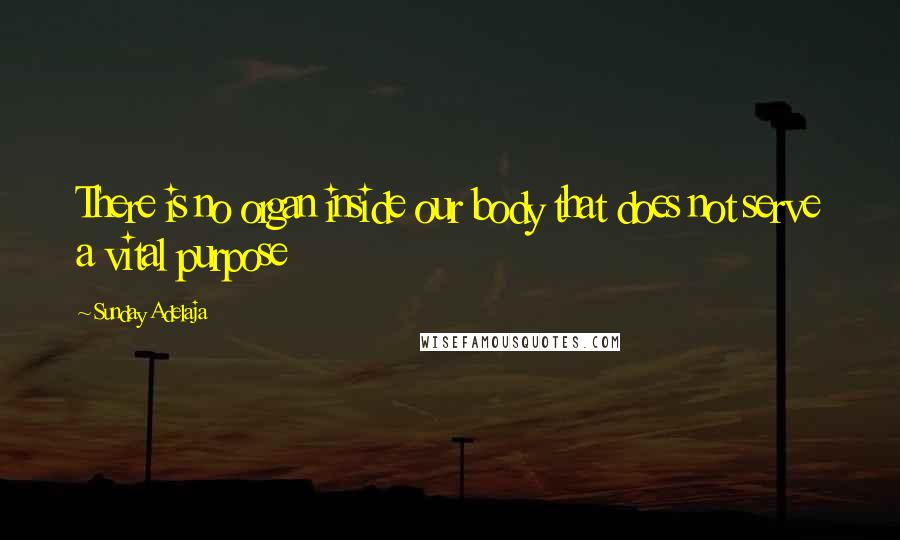 Sunday Adelaja Quotes: There is no organ inside our body that does not serve a vital purpose