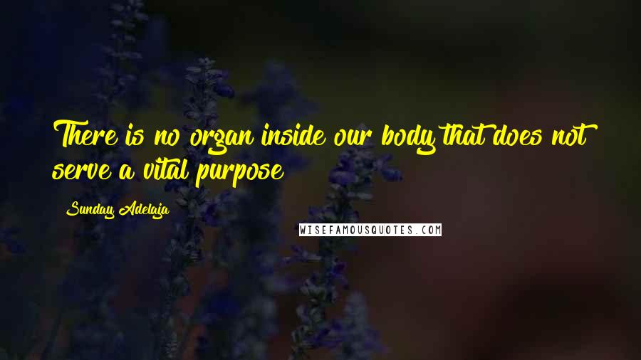 Sunday Adelaja Quotes: There is no organ inside our body that does not serve a vital purpose