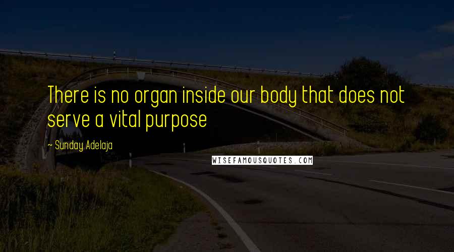 Sunday Adelaja Quotes: There is no organ inside our body that does not serve a vital purpose
