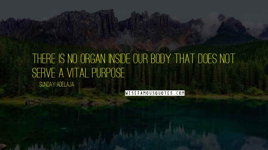 Sunday Adelaja Quotes: There is no organ inside our body that does not serve a vital purpose