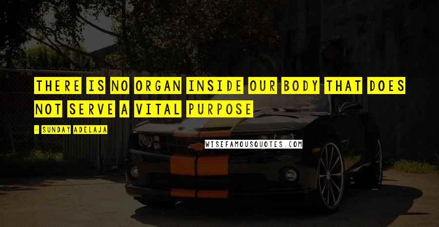 Sunday Adelaja Quotes: There is no organ inside our body that does not serve a vital purpose