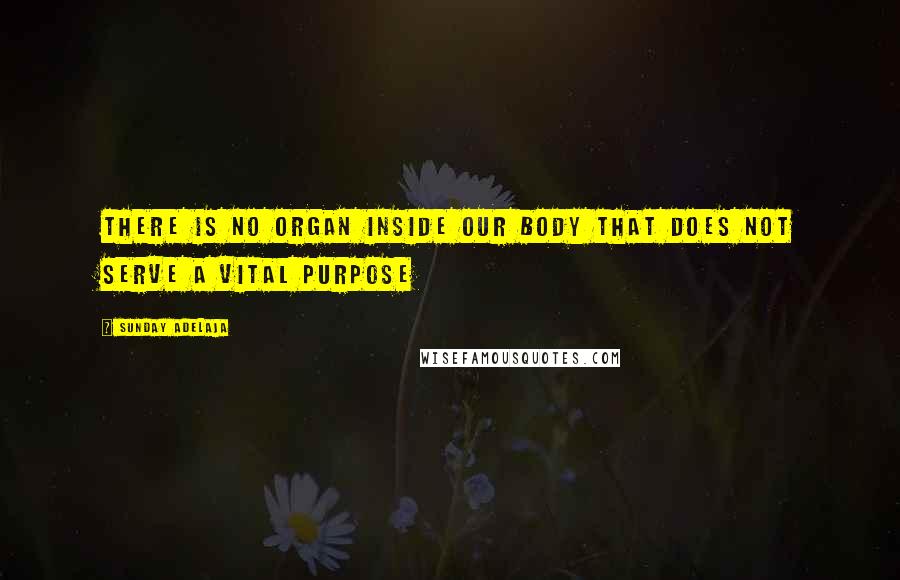 Sunday Adelaja Quotes: There is no organ inside our body that does not serve a vital purpose