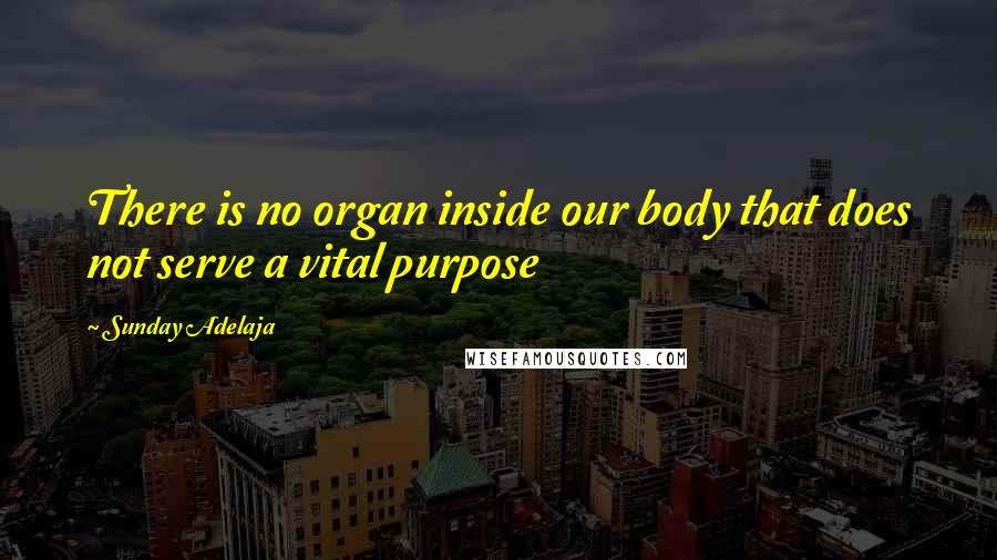 Sunday Adelaja Quotes: There is no organ inside our body that does not serve a vital purpose