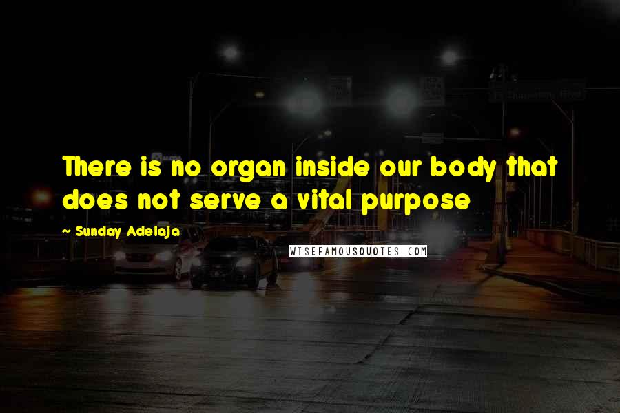 Sunday Adelaja Quotes: There is no organ inside our body that does not serve a vital purpose