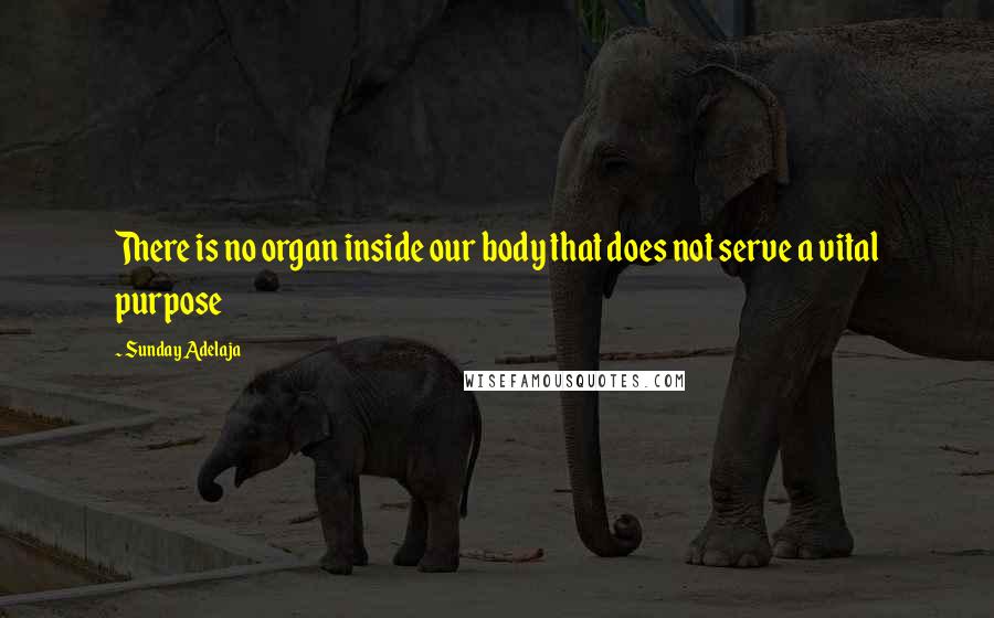 Sunday Adelaja Quotes: There is no organ inside our body that does not serve a vital purpose