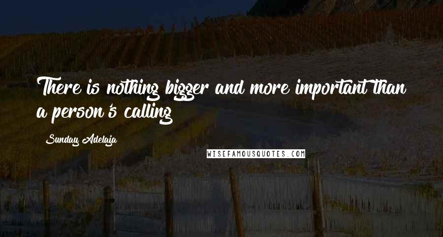 Sunday Adelaja Quotes: There is nothing bigger and more important than a person's calling