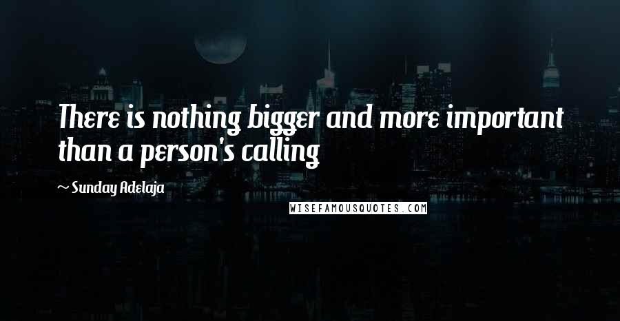 Sunday Adelaja Quotes: There is nothing bigger and more important than a person's calling
