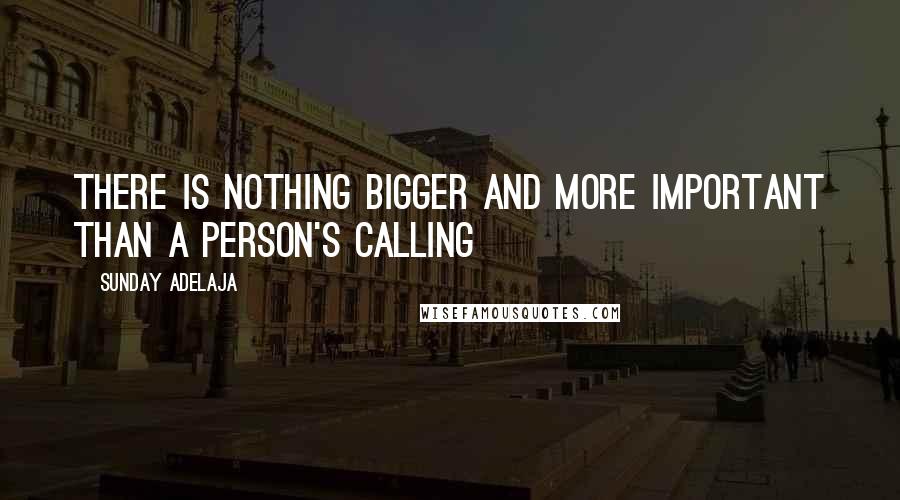 Sunday Adelaja Quotes: There is nothing bigger and more important than a person's calling