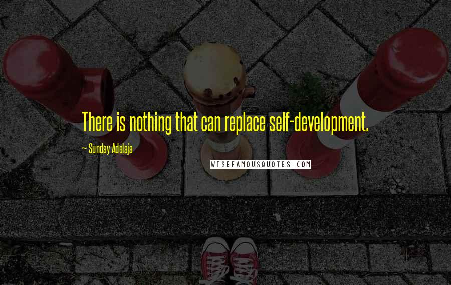 Sunday Adelaja Quotes: There is nothing that can replace self-development.